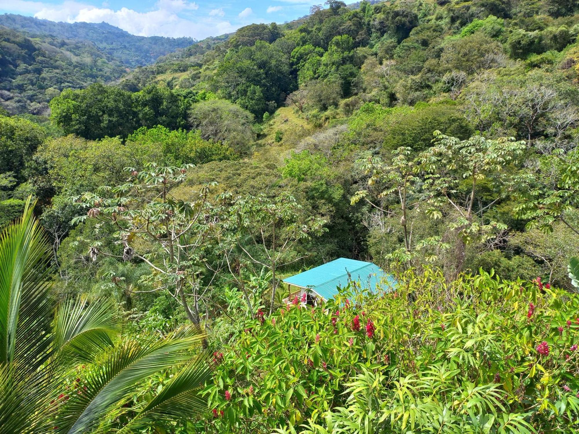 Casa El Colibri Villa Naranjo  Eksteriør bilde