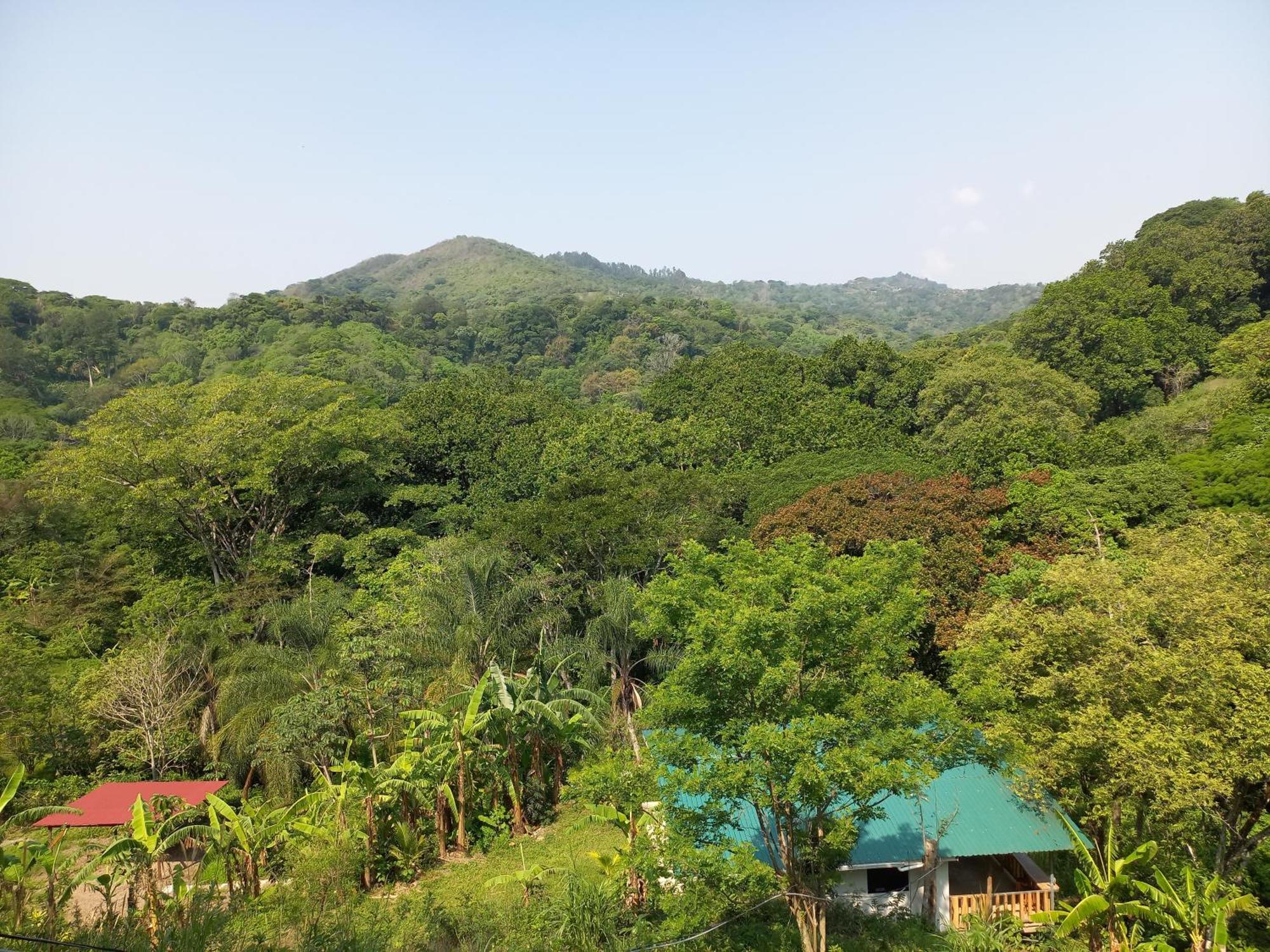 Casa El Colibri Villa Naranjo  Eksteriør bilde